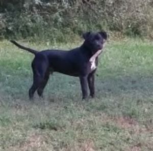 Meet your Posher, Douglas